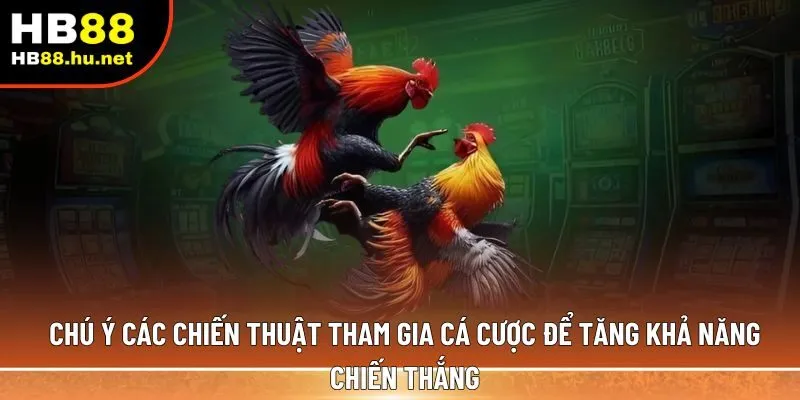 Chú ý các chiến thuật tham gia cá cược để tăng khả năng chiến thắng