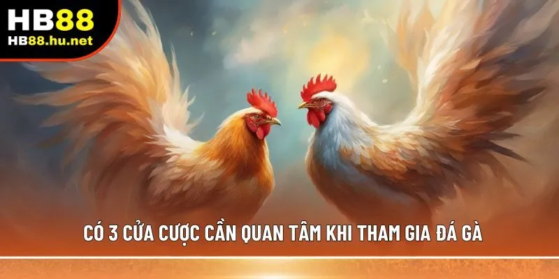 Có 3 cửa cược cần quan tâm khi tham gia đá gà