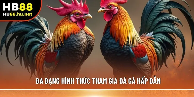 Đa dạng hình thức tham gia đá gà hấp dẫn