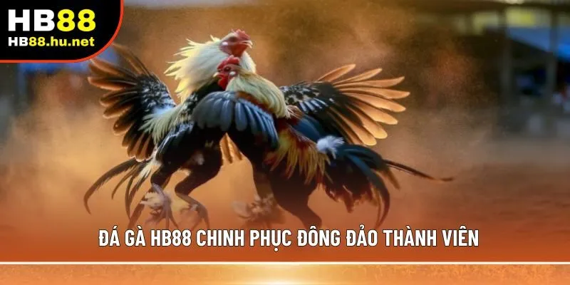 Đá gà HB88 chinh phục đông đảo thành viên