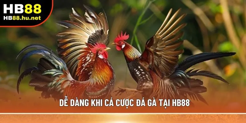 Dễ dàng khi cá cược đá gà tại HB88