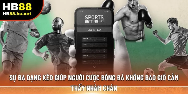 Sự đa dạng kèo 