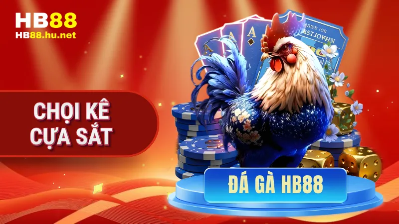 Chọi kê cựa sắt