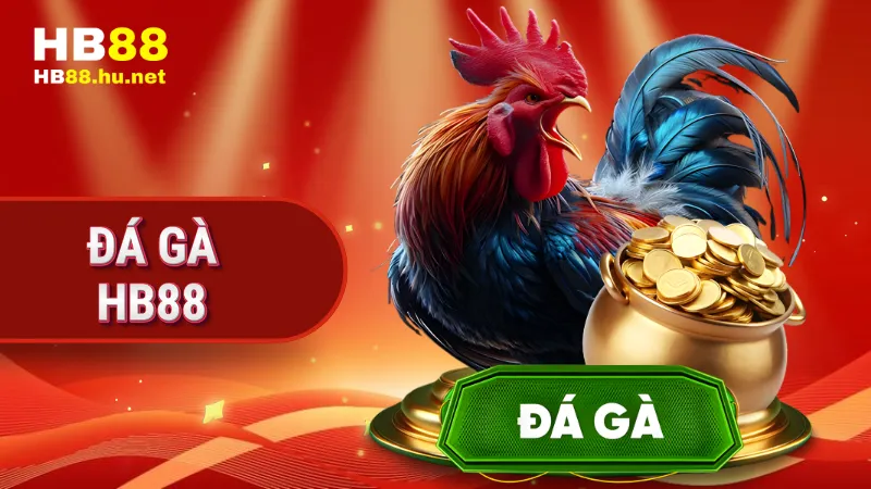 đá gà